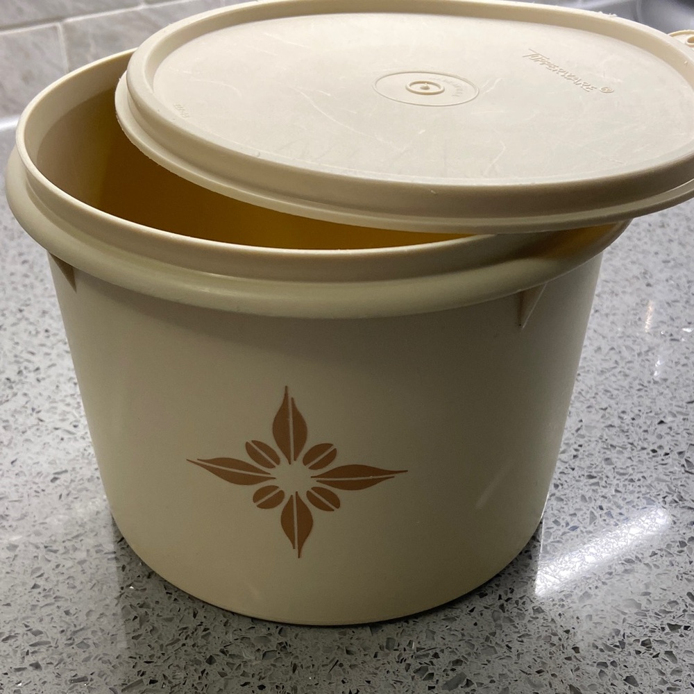 Vintage Tupperware  Container with Brown Design